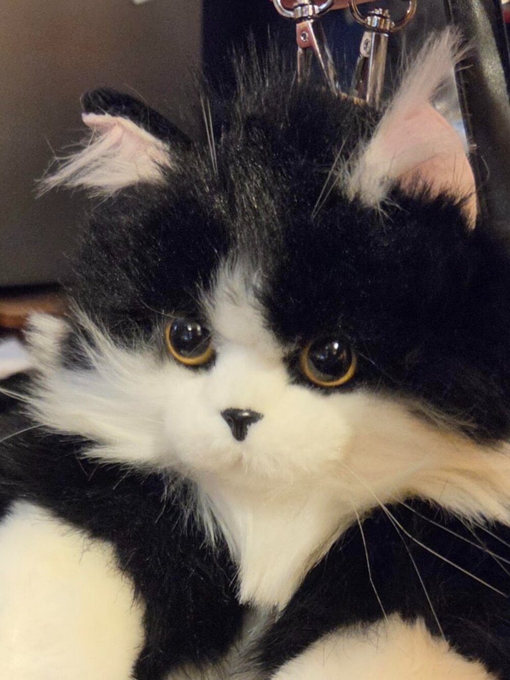 Chongker Realistic Cat Backpack,Plush Stuffed Animal Adult owned NEW!*READ*